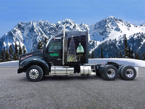 T880 Christmas Tree2