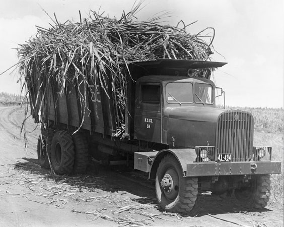 Old image of truck on sugar plantation in Hawaii