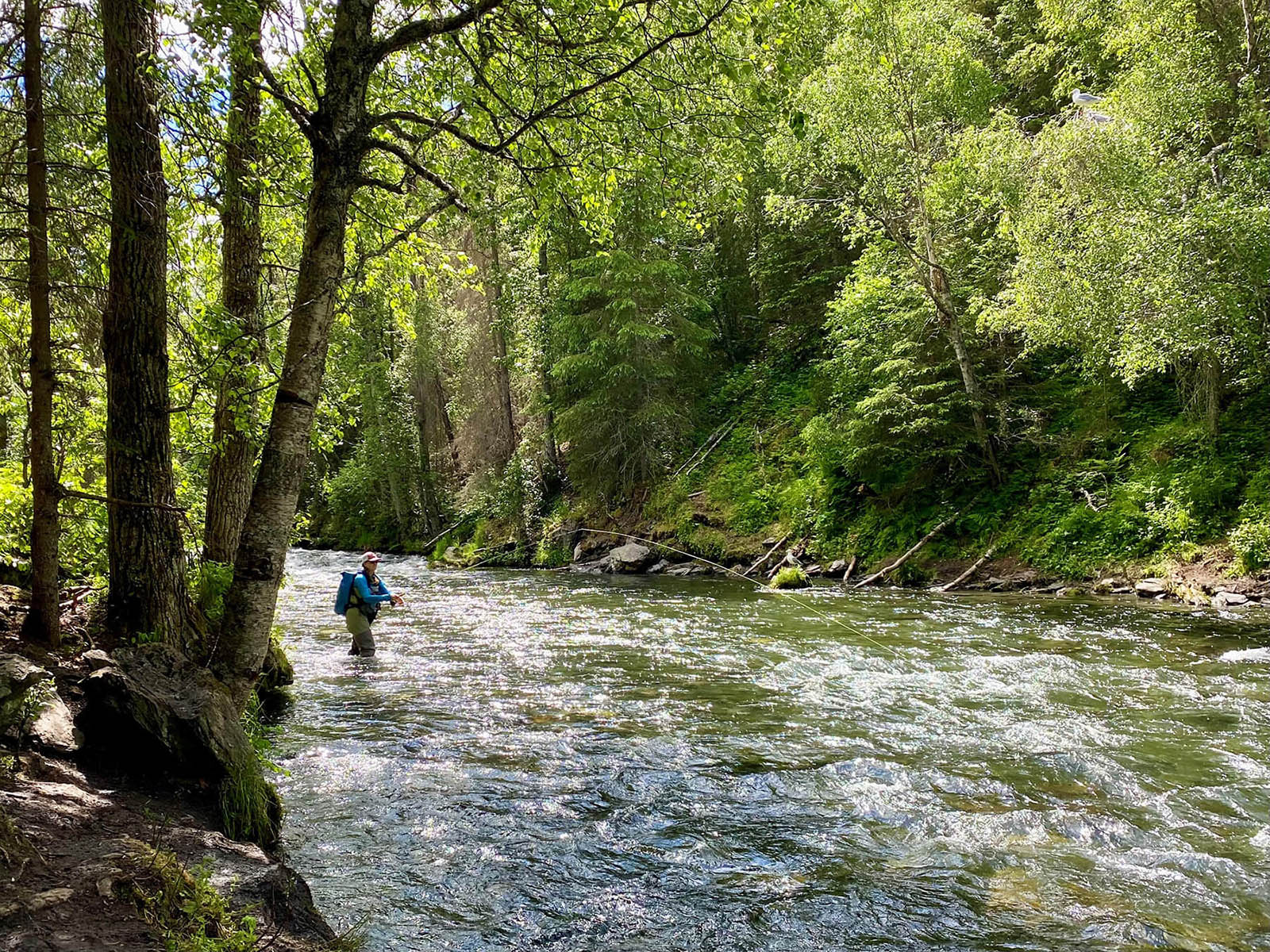 Person flyfishing in the Russian River