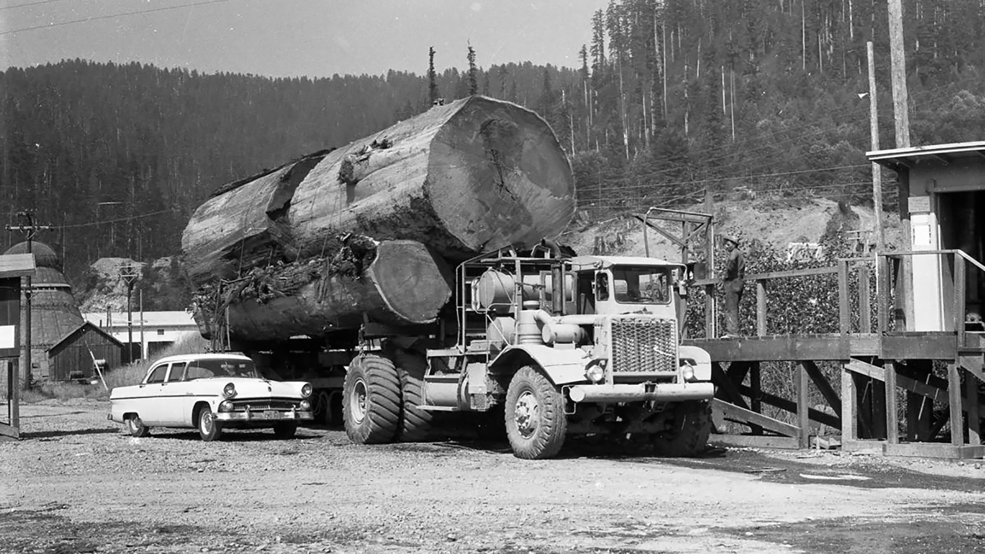 Kenworth truck 1951