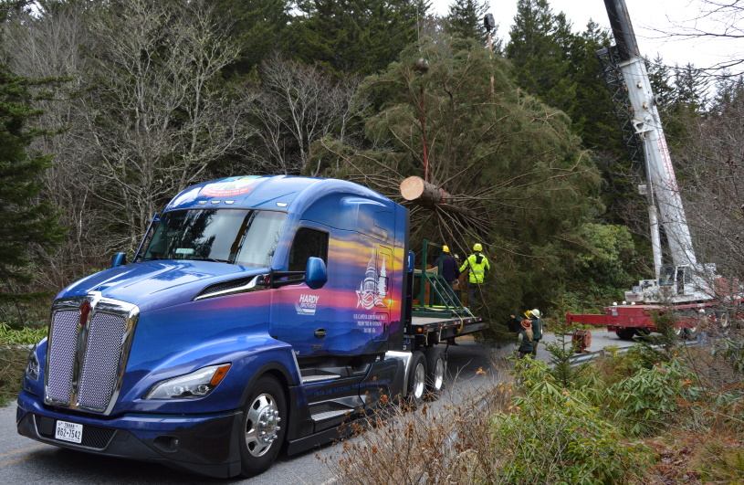 2022 U.S. Capitol Christmas Tree Harvested Nov. 2, T680 Next Gen To